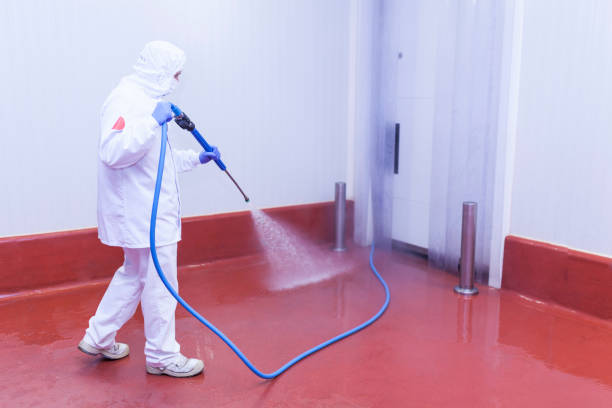 Best Pool Deck Cleaning  in Saline, MI