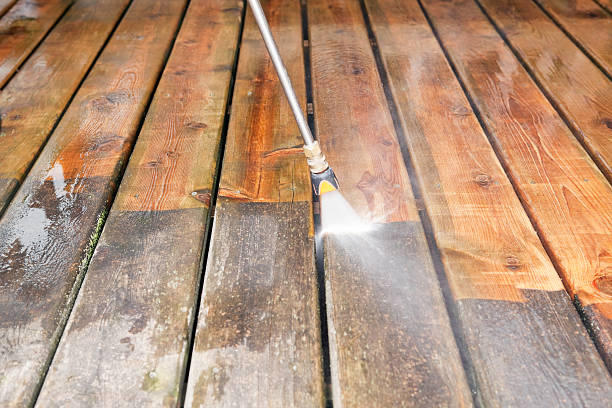 Best House Exterior Washing  in Saline, MI